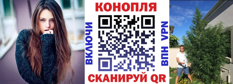 Купить наркоту Клинцы Псилоцибиновые грибы  А ПВП  Меф мяу мяу  Каннабис 