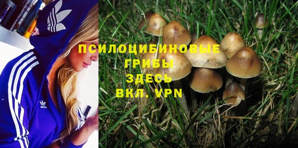 шишки Алексеевка