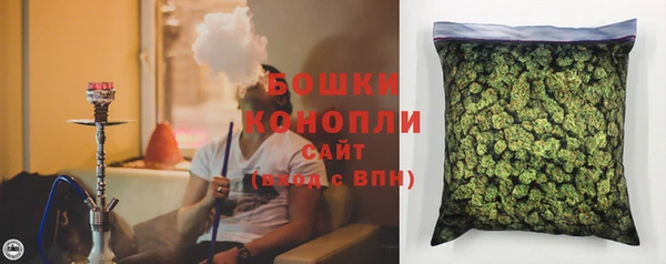 шишки Алексеевка