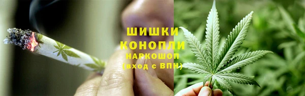 гидра Алзамай