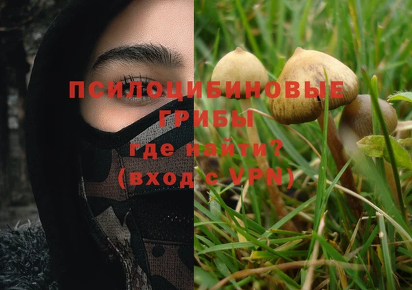 шишки Алексеевка