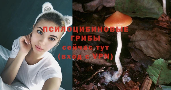 соль курить ск Абаза