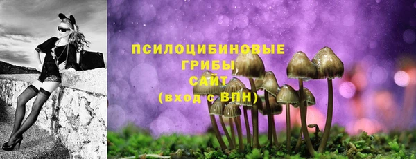 гидра Алзамай