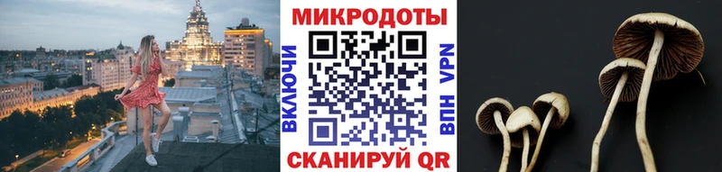 Галлюциногенные грибы GOLDEN TEACHER  ОМГ ОМГ как зайти  Клинцы 